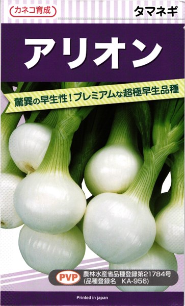 玉ねぎ苗【早生品種マッハ2000本】【野菜苗】 タマネギの苗｜タキイ