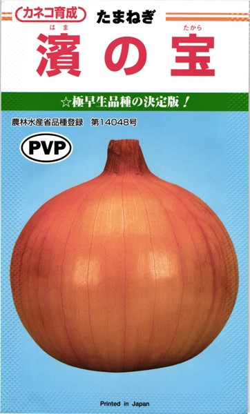 極早生タマネギ 種<br> 『濱の宝』 カネコ種苗/2dl | たね,根菜の種 