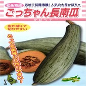 大長カボチャ 種<br> 『ごっちゃん長南瓜』  松永種苗/100粒