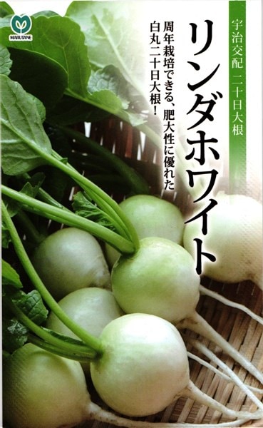大根の神 千と千尋の「おしら様」 約1年前 家族A「お父さん千と千尋の