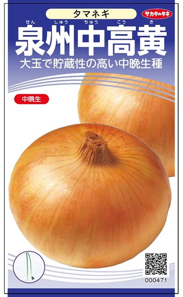 中晩成玉ねぎ苗 泉州の力 1000本 （高田種苗オンライン / 中晩生