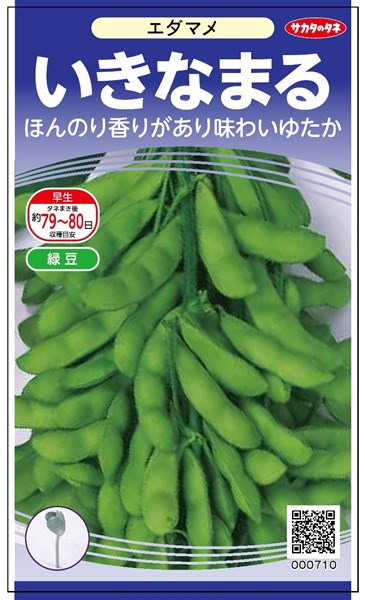 Magu　豆8個 信州産大豆「上高地」ごま | 田内屋｜信州まつもと豆腐 100％信州産