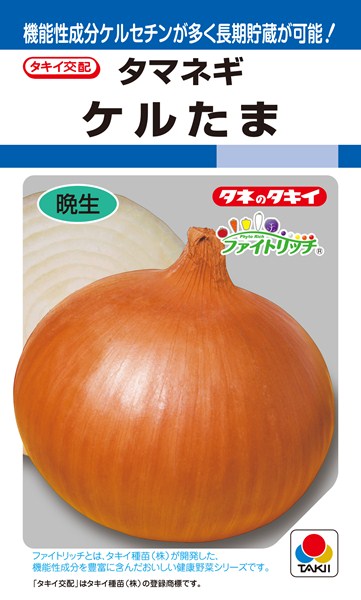 パパイヤ種子（タネ）品種名リオグランデ100g（約6500粒）