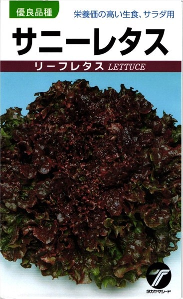 リーフレタス 種<br> 『サニーレタス』 タカヤマシード/小袋