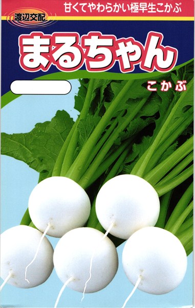 小カブ 種<br> 『まるちゃん』  渡辺農事/2dl