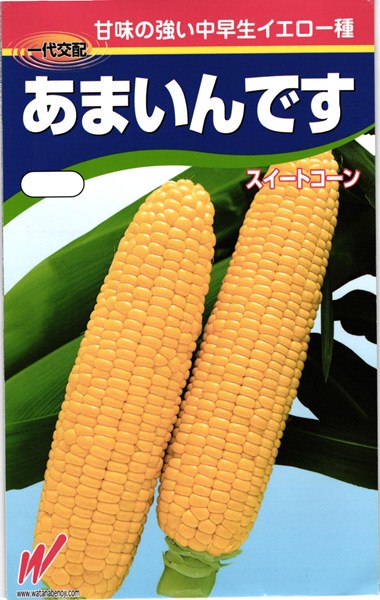 スイートコーン 種<br> 『あまいんです』  渡辺農事/2000粒