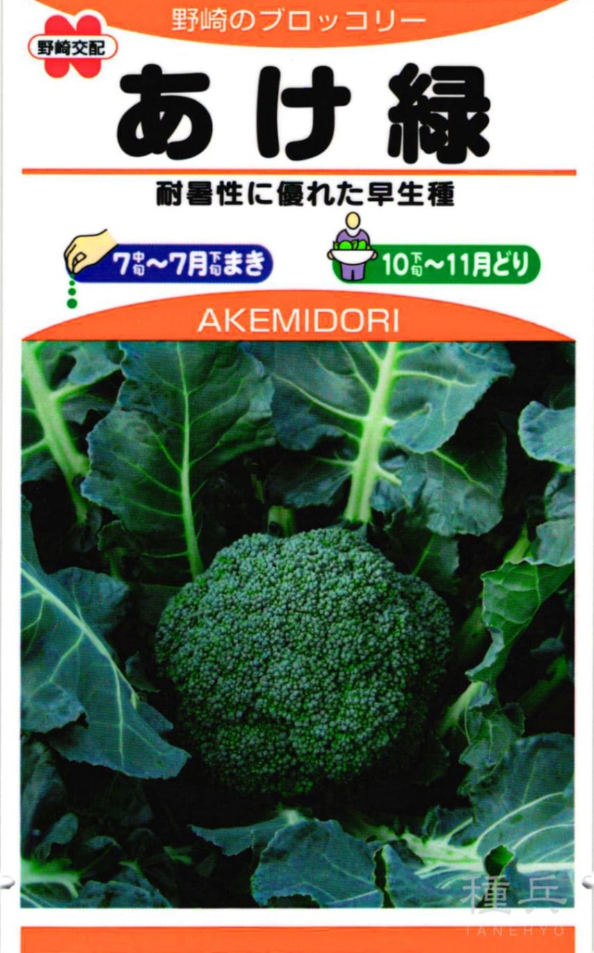 ブロッコリー 種 『あけ緑』  野崎採種場