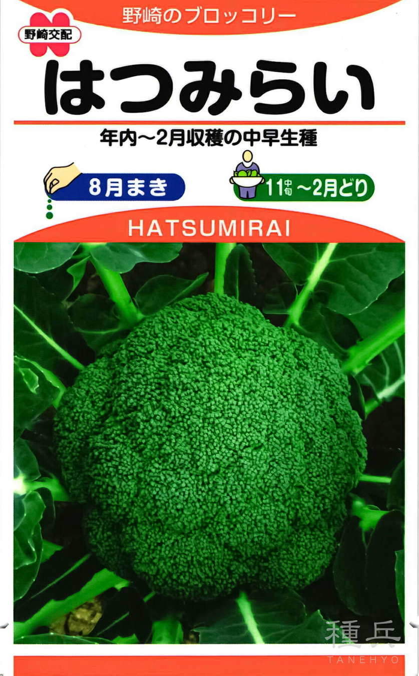 ブロッコリー 種 『はつみらい』  野崎採種場