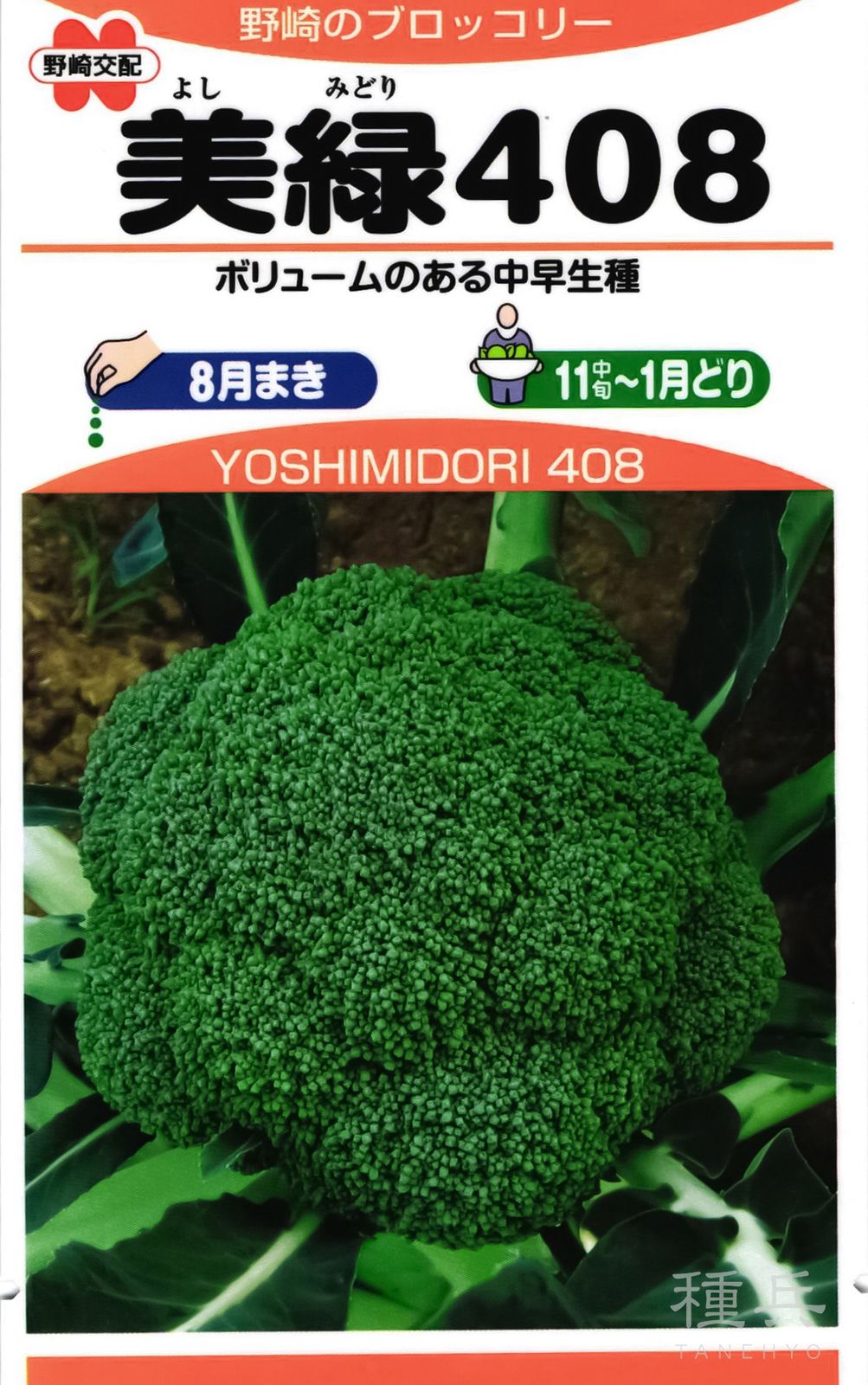 ブロッコリー 種 『美緑408』  野崎採種場