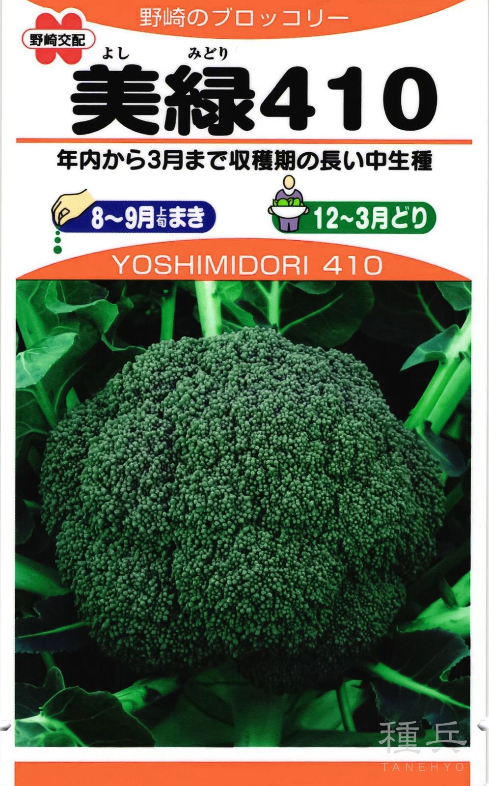 ブロッコリー 種 『美緑410』  野崎採種場