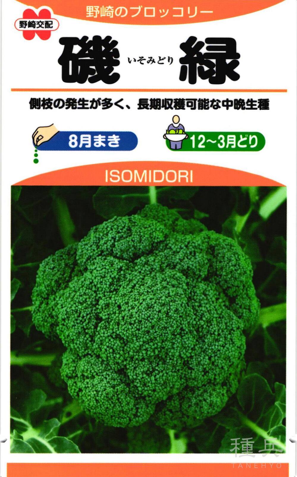 ブロッコリー 種 『磯緑』  野崎採種場