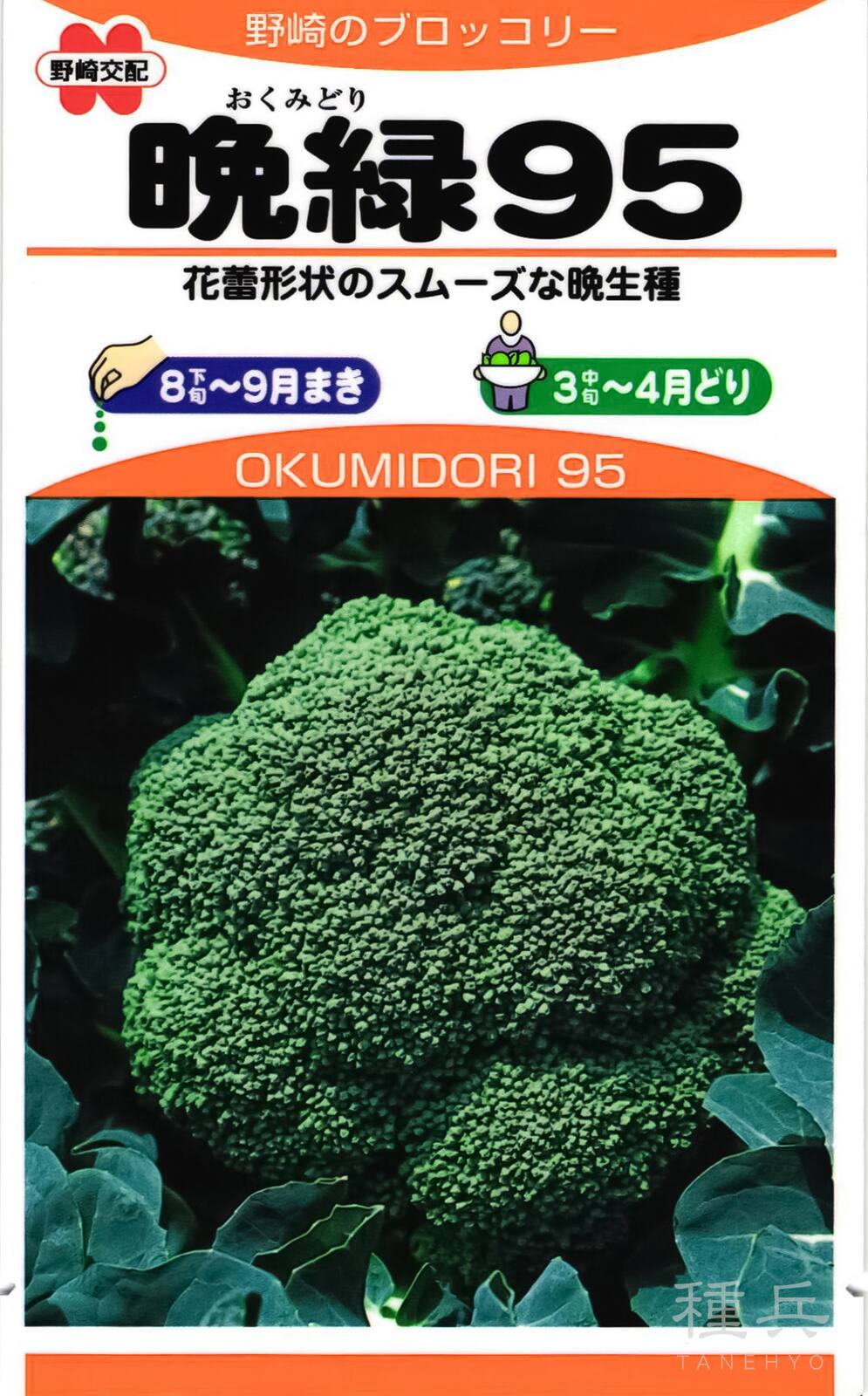 ブロッコリー 種 『晩緑95』  野崎採種場