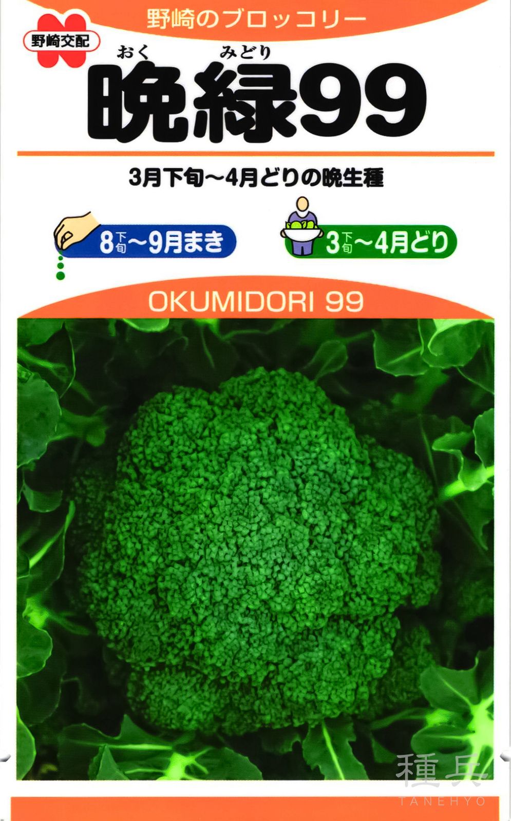 ブロッコリー 種 『晩緑99』  野崎採種場