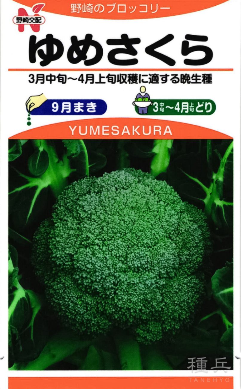 夢ひびき ブロッコリー種子 20ml 夢ひびき ブロッコリー種子 20ml セカンドーム型【野菜種子