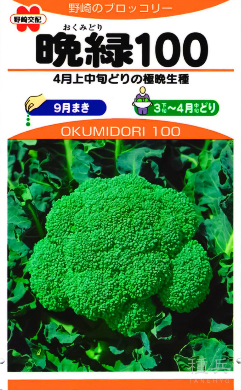 ブロッコリー 種 『晩緑100』  野崎採種場