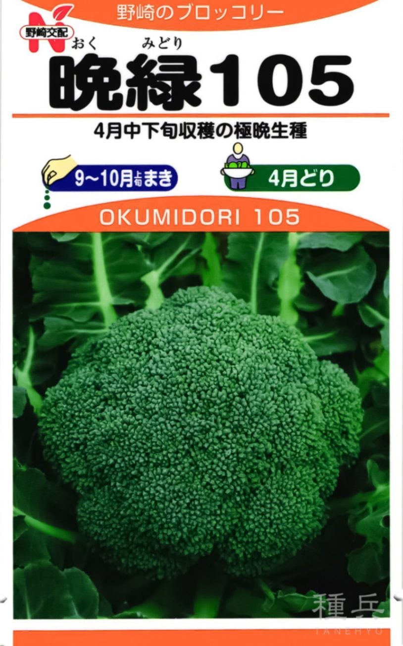 ブロッコリー 種 『晩緑105』  野崎採種場