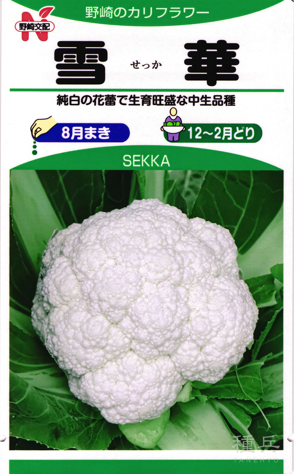 カリフラワー 種 『雪華（NF-717）』 野崎採種場 | たね,葉菜の種