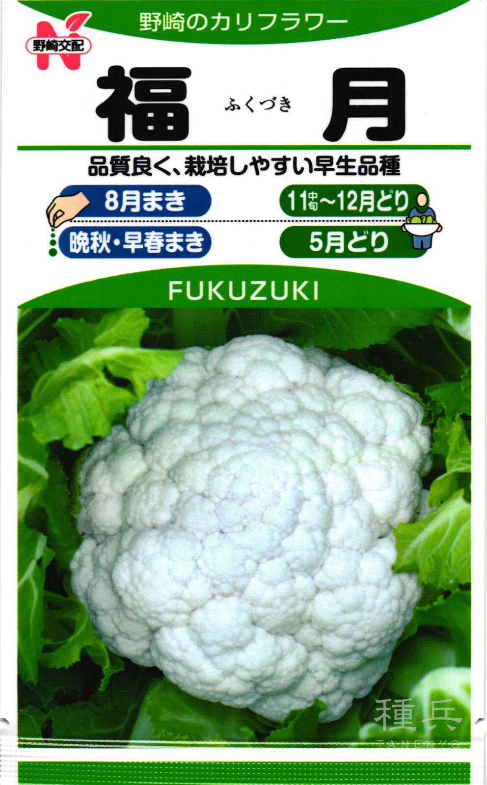 カリフラワー 種 『福月』 野崎採種場 | たね,葉菜の種,カリフラワー