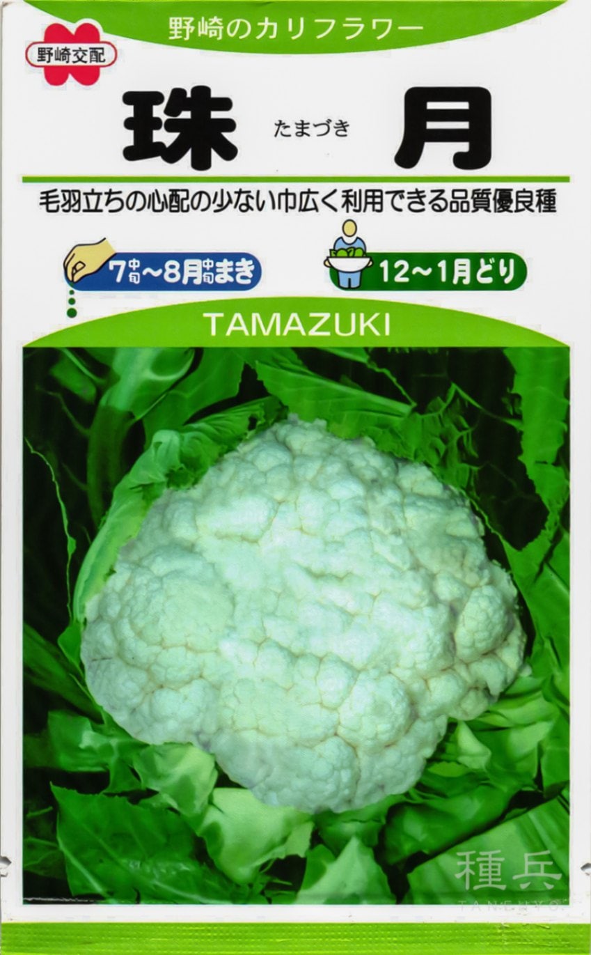 カリフラワー 種 『珠月』  野崎採種場