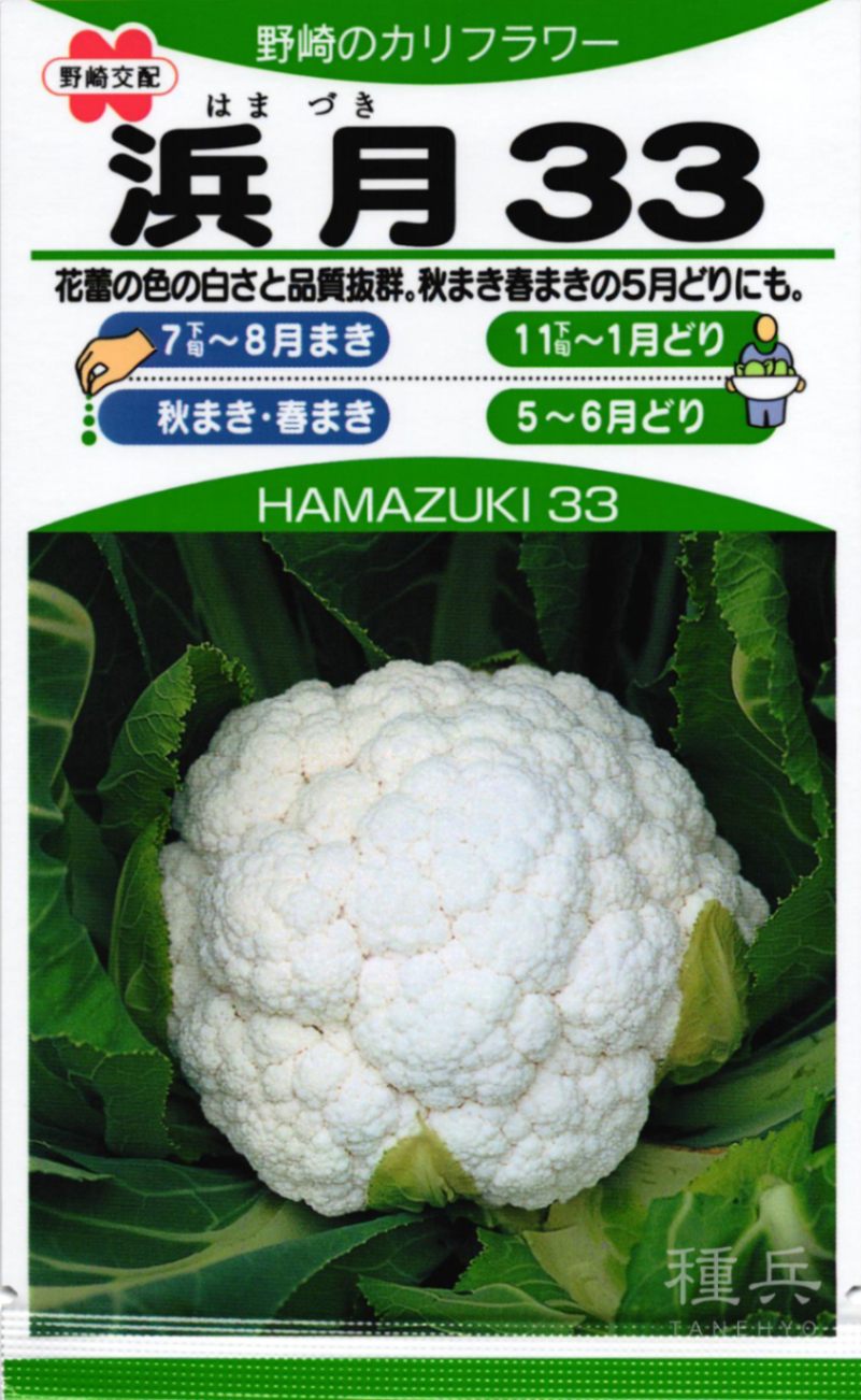 ꧁꧂✤花梨さまご確認用✤꧁꧂ カリフラワー 種 『浜月33』 野崎採種場 | たね,葉菜の種,カリフラワー