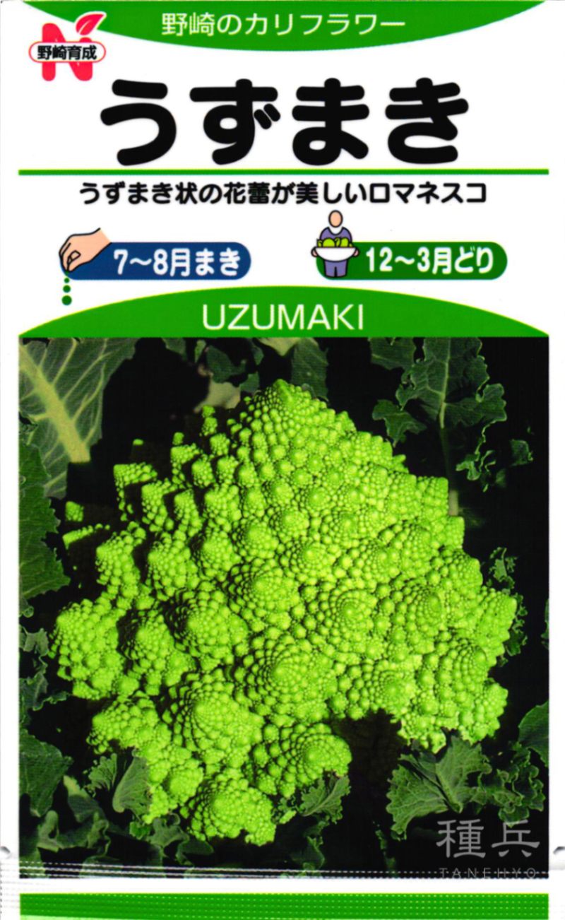 ロマネスコ 種 『うずまき』 野崎採種場 | たね,葉菜の種,カリフラワー