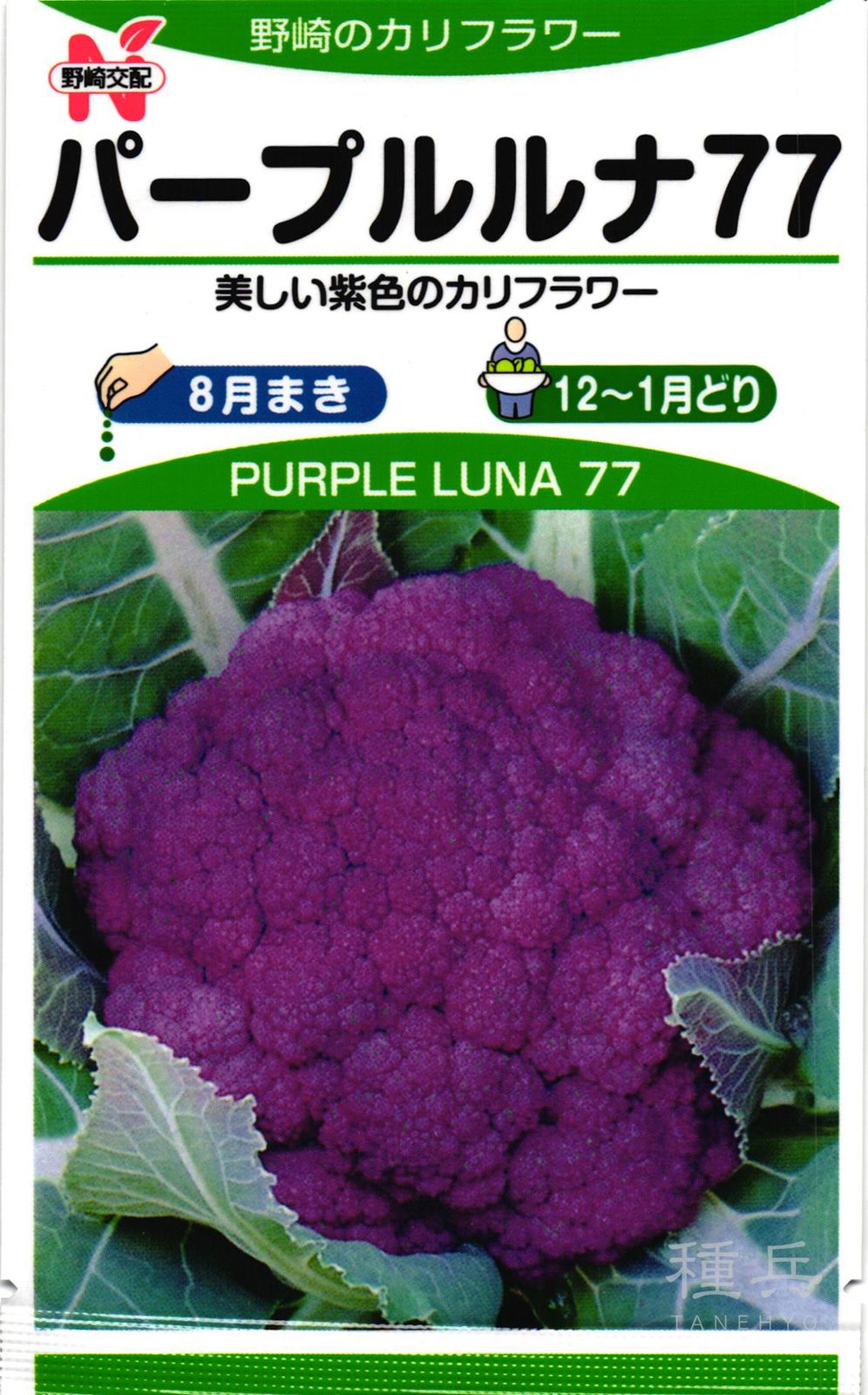 紫カリフラワー 種 『パープルルナ77』  野崎採種場