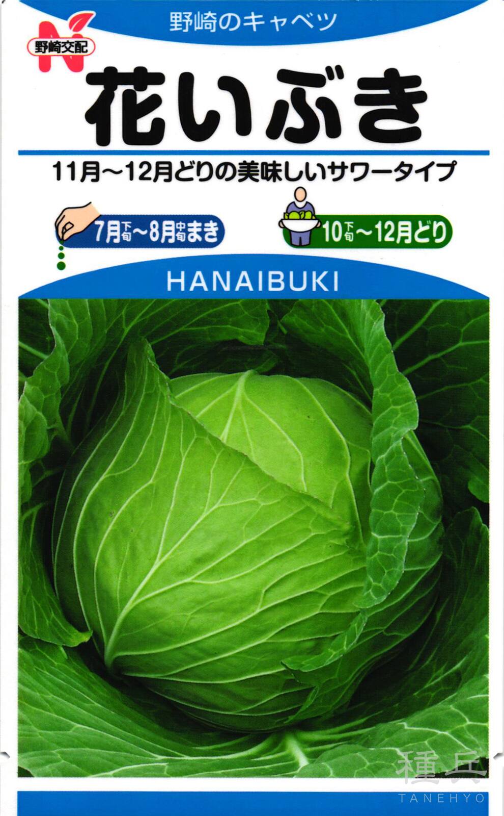 サワーキャベツ 種 『花いぶき』  野崎採種場