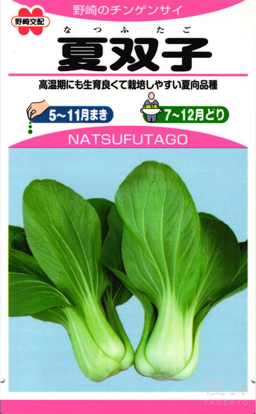 チンゲンサイ 種 『夏双子』  野崎採種場