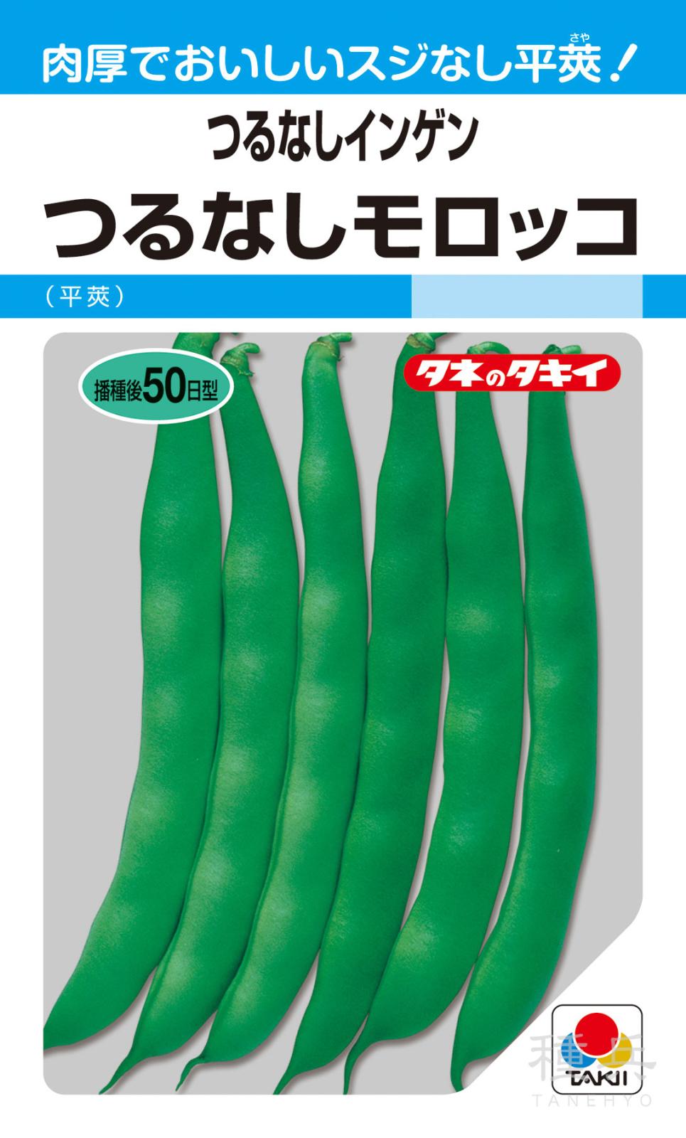 つるなしインゲン 種 『つるなしモロッコ』 ASA152 タキイ種苗