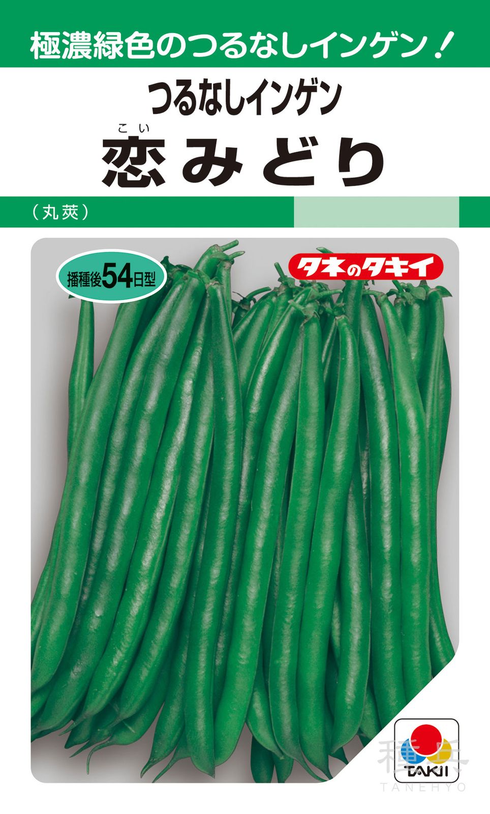 つるなしインゲン 種 『恋みどり』 ASA165 タキイ種苗 | たね,果菜の種