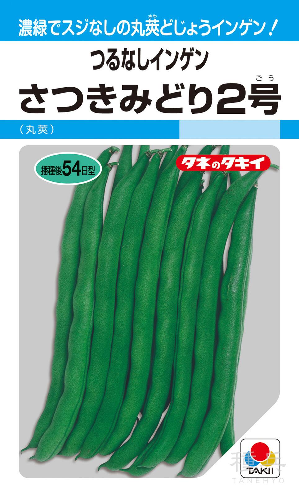 つるなしインゲン 種 『さつきみどり2号』 ASA126 タキイ種苗