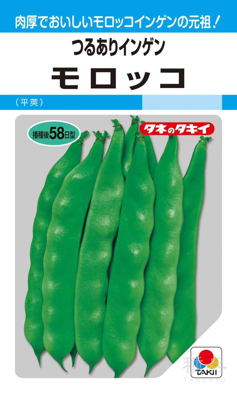 つるありインゲン 種 『モロッコ』 ASA151 タキイ種苗