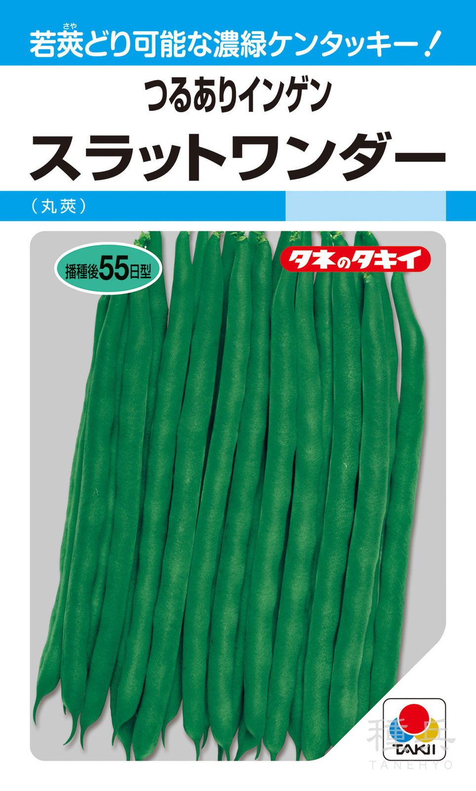北海道産 つるありインゲン つるありインゲン 種 『スラットワンダー（ケンタッキーブルーノバル