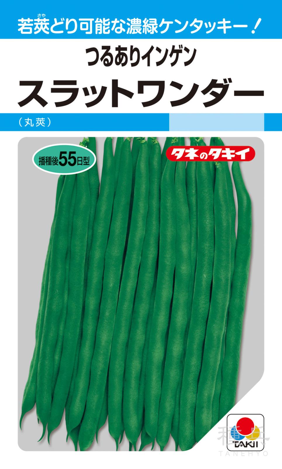つるありインゲン 種 『スラットワンダー（ケンタッキーブルーノバル）』 ASA157 タキイ種苗