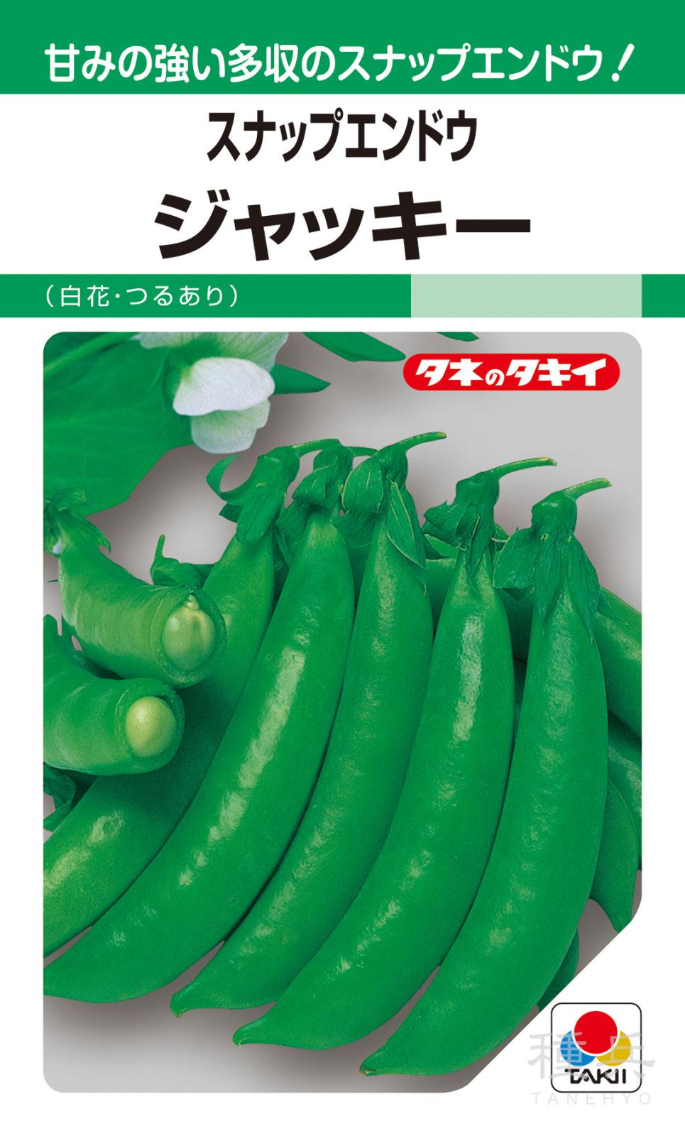 スナップエンドウ 種 『ジャッキー』 AEN551 タキイ種苗