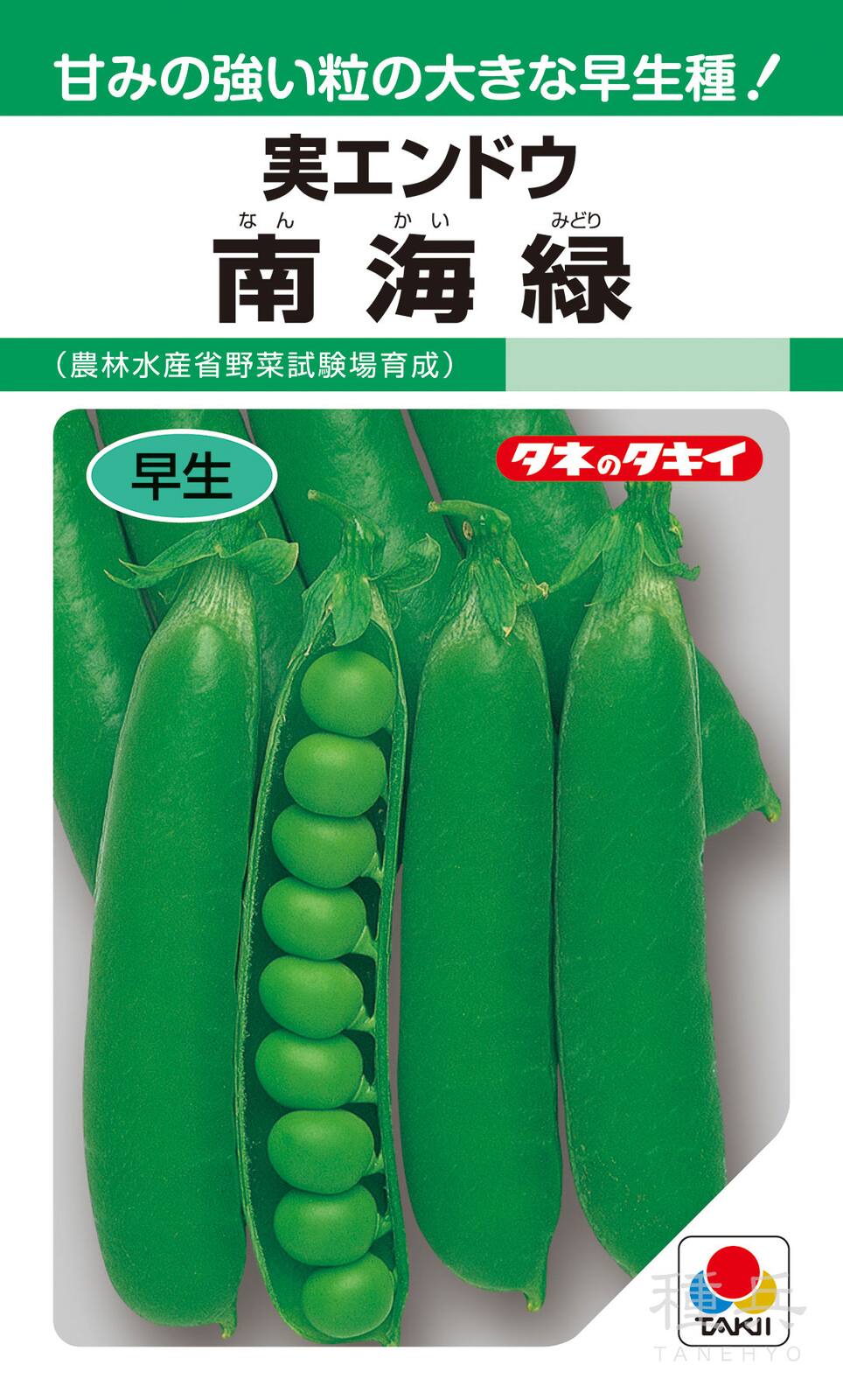 実エンドウ 種 『南海緑』 AEN130 タキイ種苗