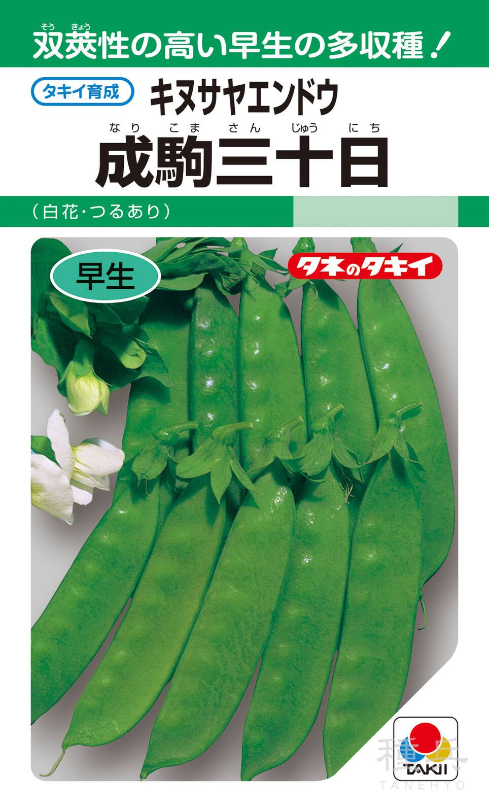キヌサヤエンドウ 種 『成駒三十日絹莢』 AEN108 タキイ種苗