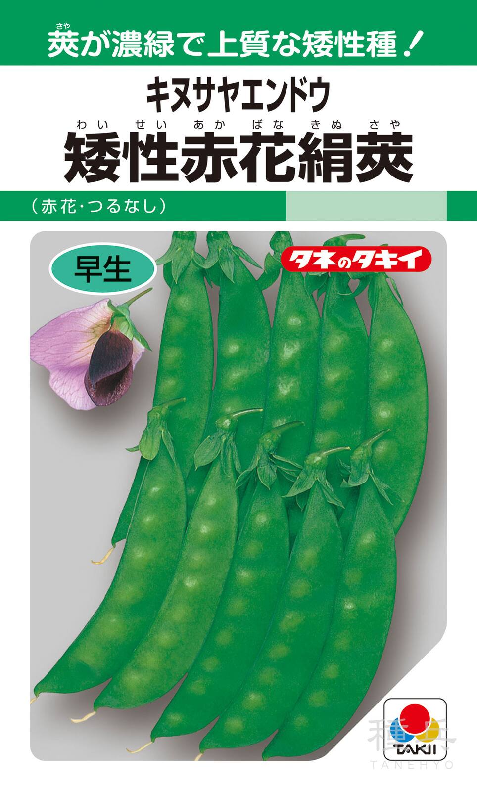 キヌサヤエンドウ 種 『矮性赤花絹莢』 AEN111 タキイ種苗