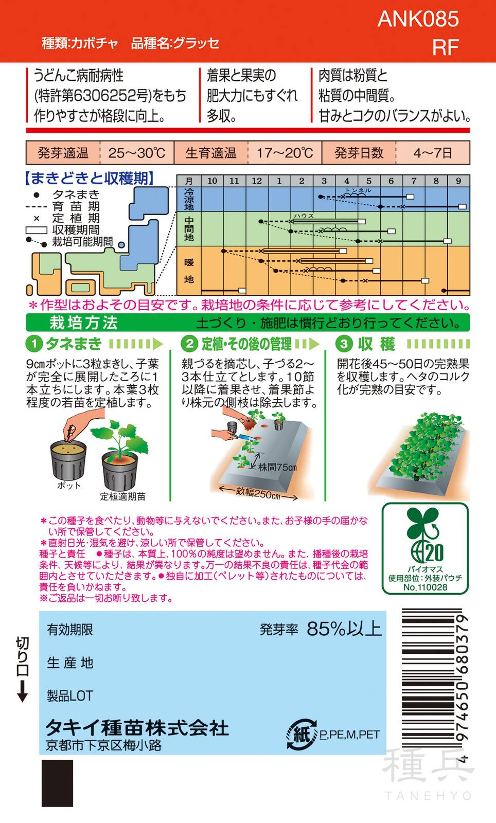 中間質カボチャ 種 『グラッセ』 ANK085 タキイ種苗 | たね,果菜の種