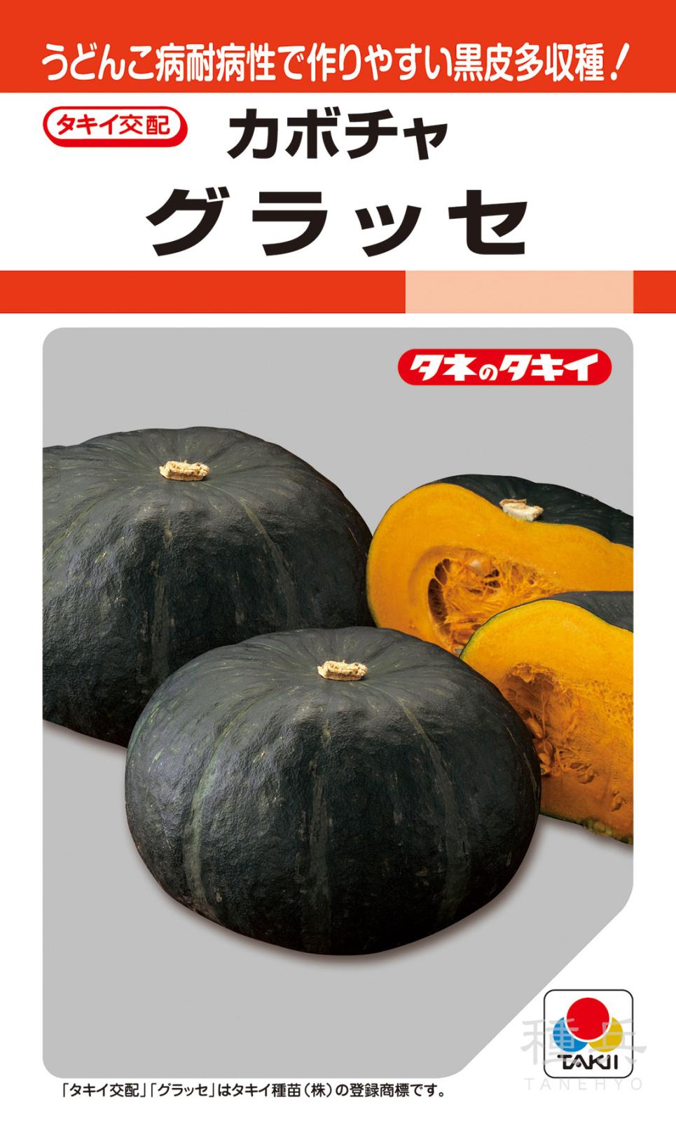 中間質カボチャ 種 『グラッセ』 ANK085 タキイ種苗 | たね,果菜の種