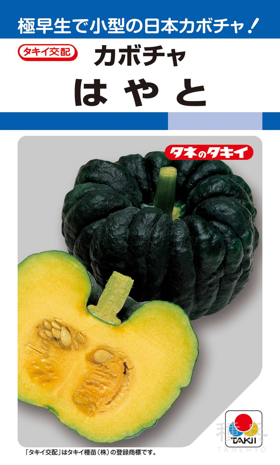 日本カボチャ 種 『はやと』 ANK003 タキイ種苗