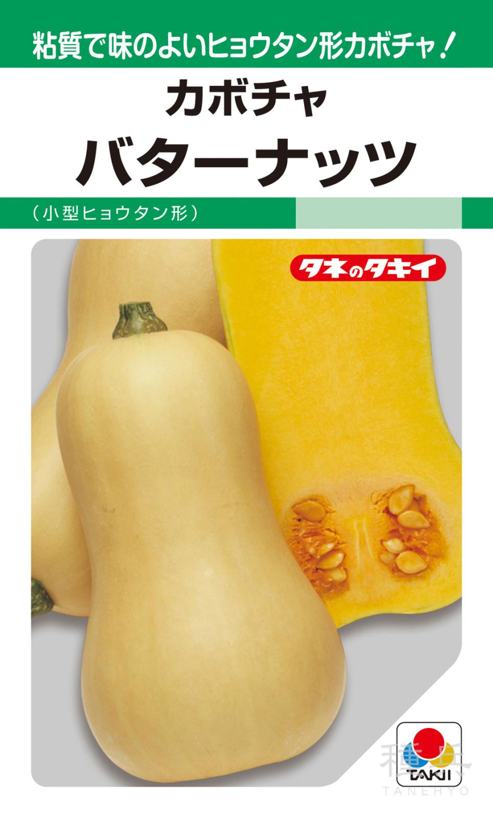 特殊カボチャ 種 『バターナッツ』 ANK531 タキイ種苗