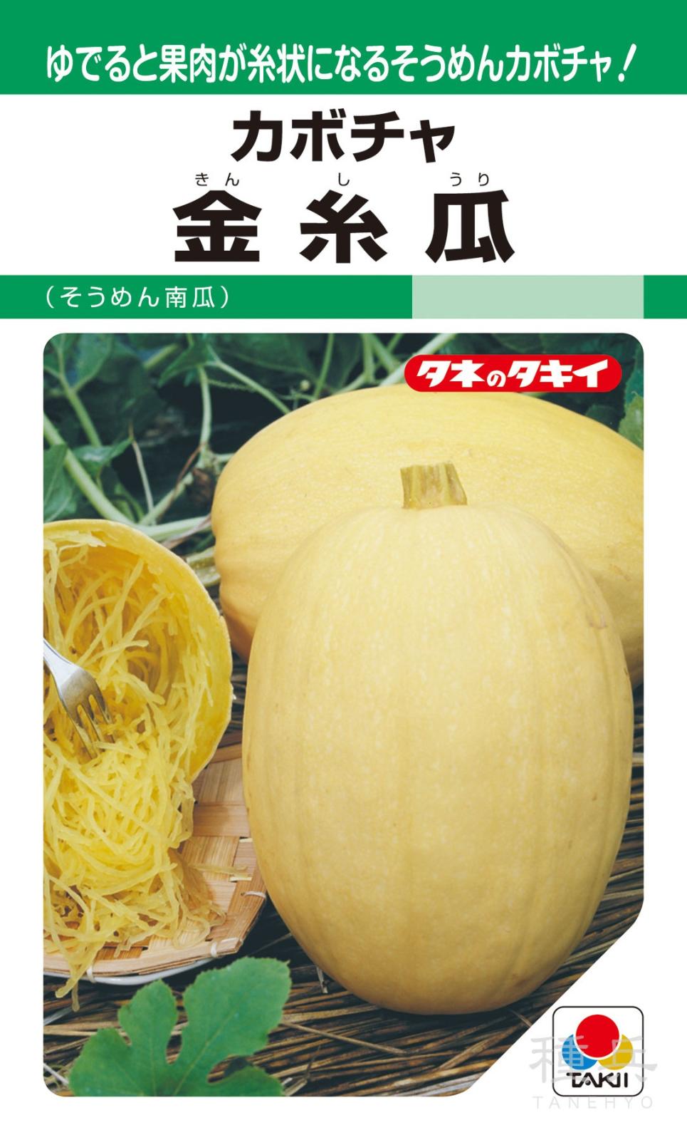 特殊カボチャ 種 『金糸瓜（そうめん南瓜）』 ANK135 タキイ種苗
