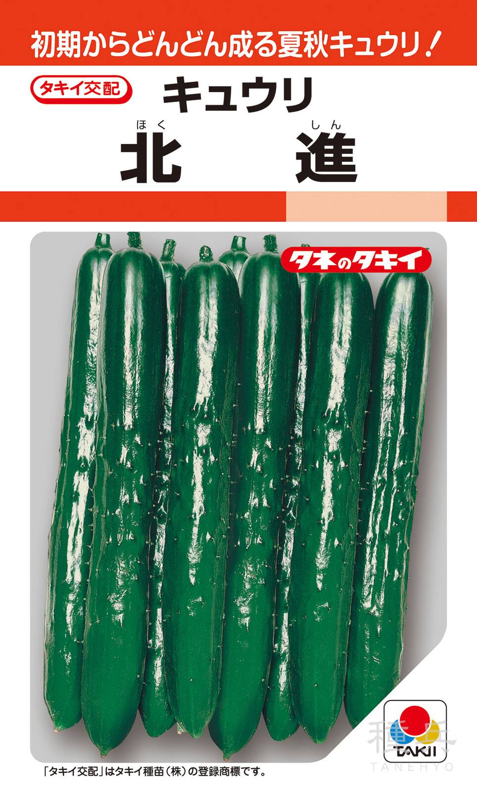 夏秋キュウリ 種 『北進』 ACU040 タキイ種苗 | たね,果菜の種