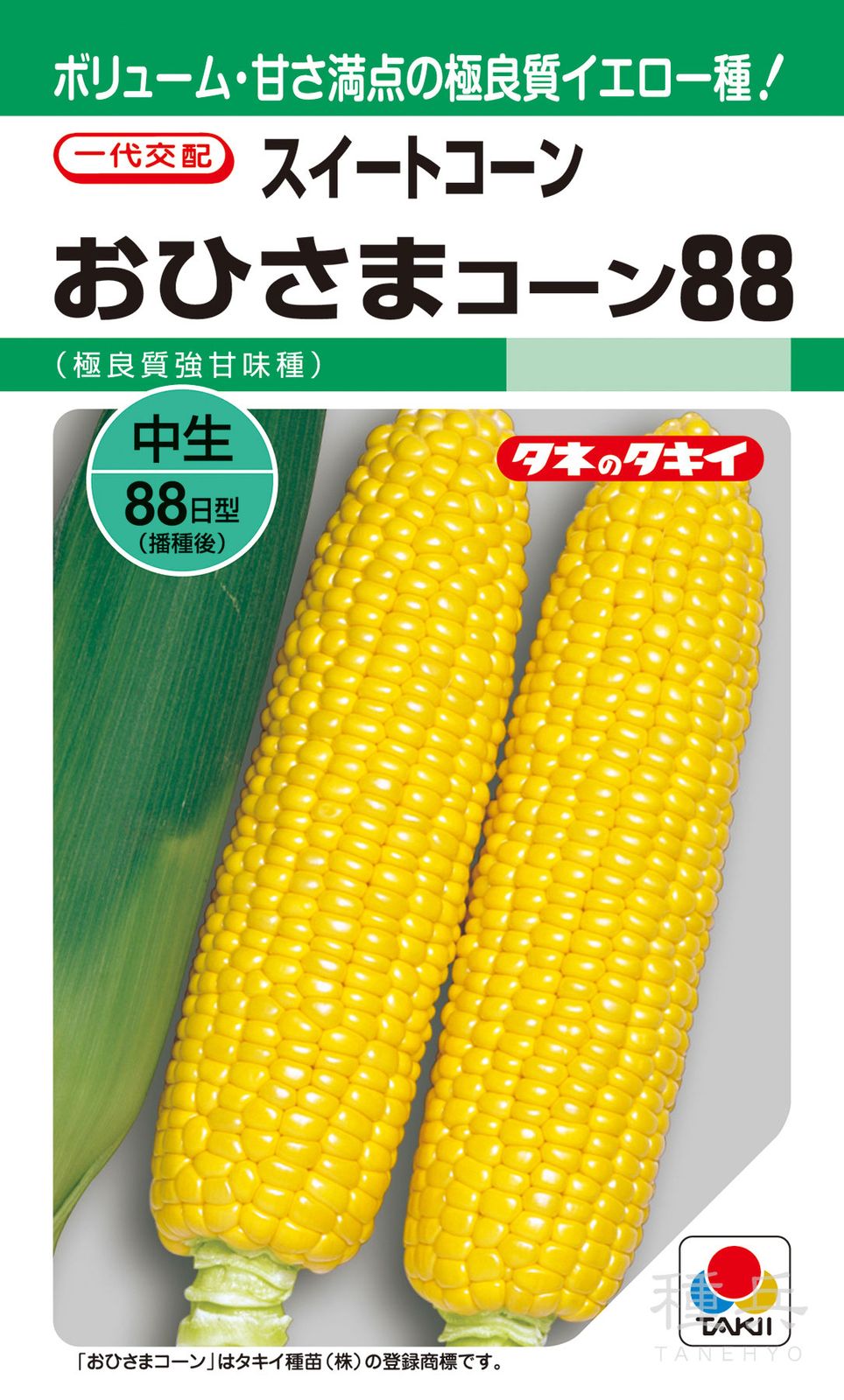 イエロー種トウモロコシ 種 『おひさまコーン88』 ACR556 タキイ種苗