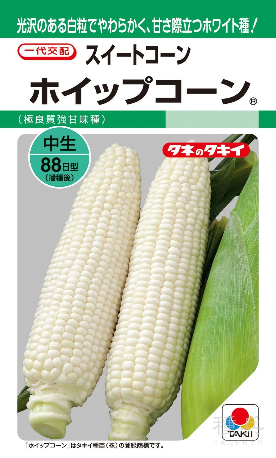 ホワイト種トウモロコシ 種 『ホイップコーン』 ACR613 タキイ種苗