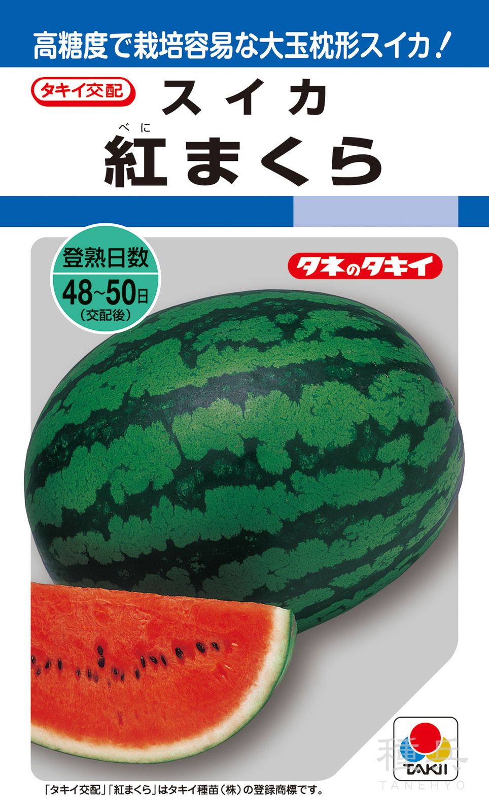 大玉枕形スイカ 種 『紅まくら』 ASU026 タキイ種苗 | たね,果菜の種