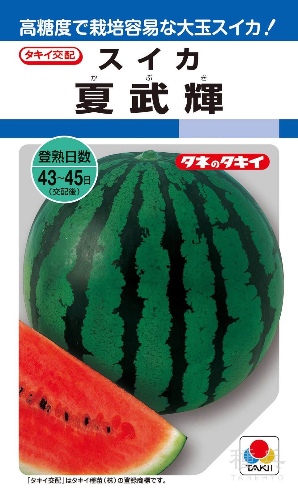 大玉高球スイカ 種 『夏武輝』 ASU020 タキイ種苗 | たね,果菜の種