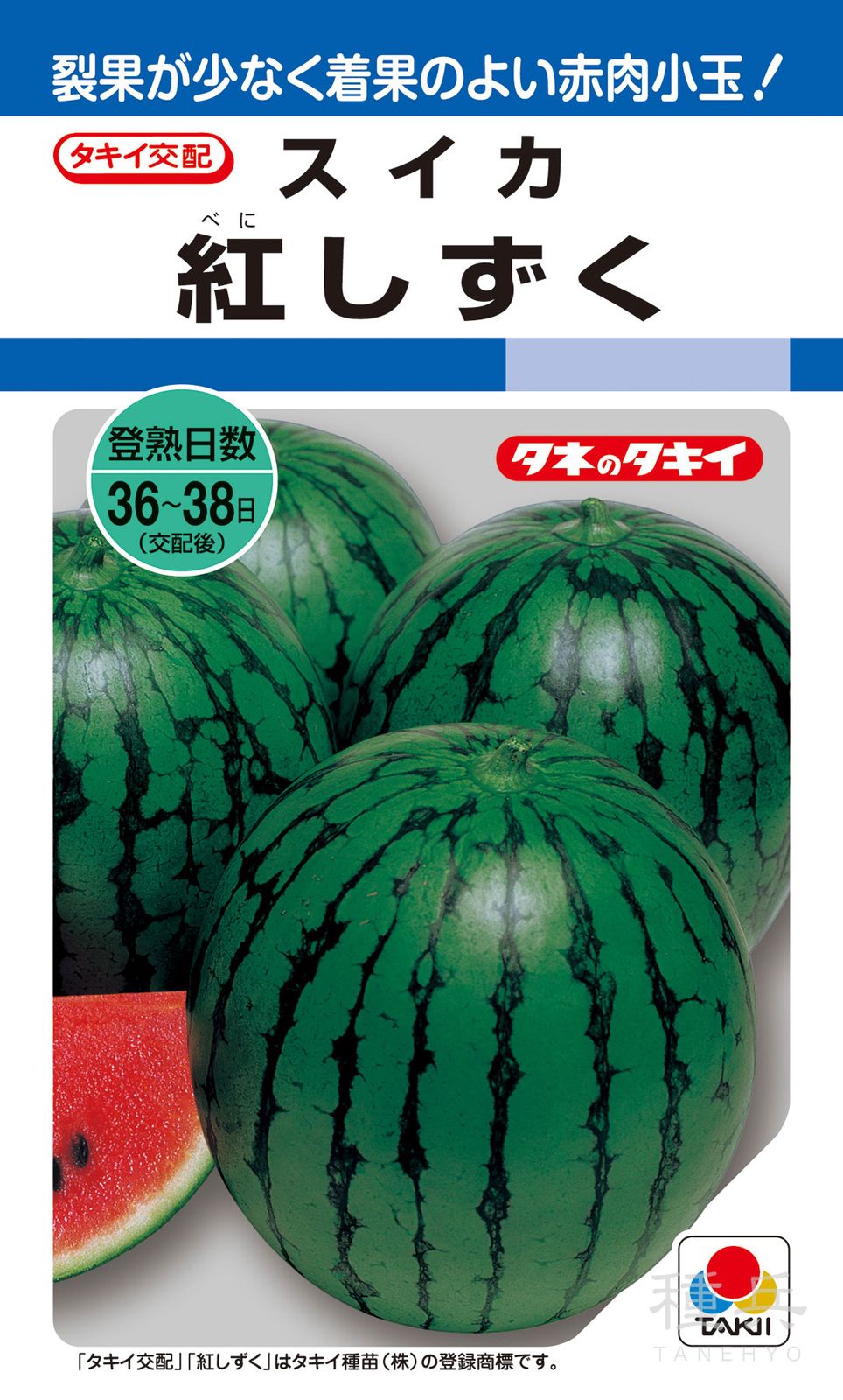 小玉赤肉種スイカ 種 『紅しずく』 ASU005 タキイ種苗 | たね,果菜の種