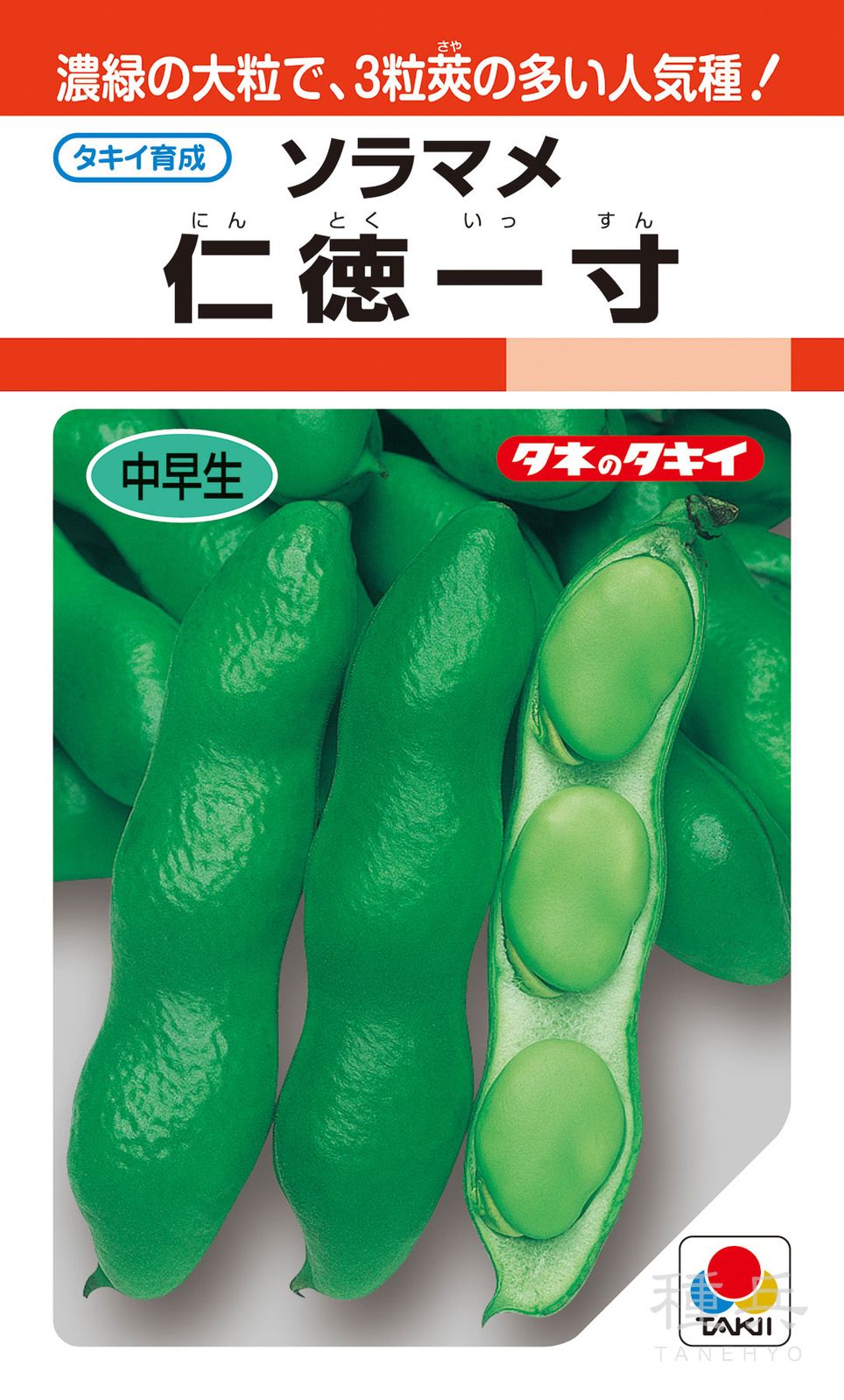 一寸ソラマメ 種 『仁徳一寸』 ASM127 タキイ種苗 | たね,果菜の種